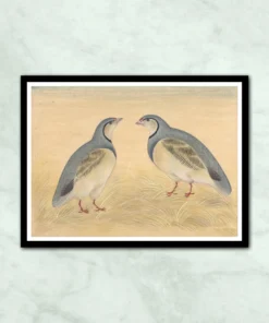 Mughal Birds Miniature Painting