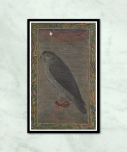 Falcon Eagle Mughal Bird Painting