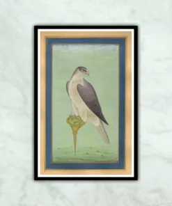 Mughal Eagle of Akbar Emperor Miniature Painting