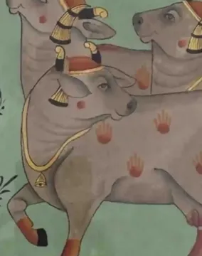 Cows Phad Painting of Rajasthan miniature painting